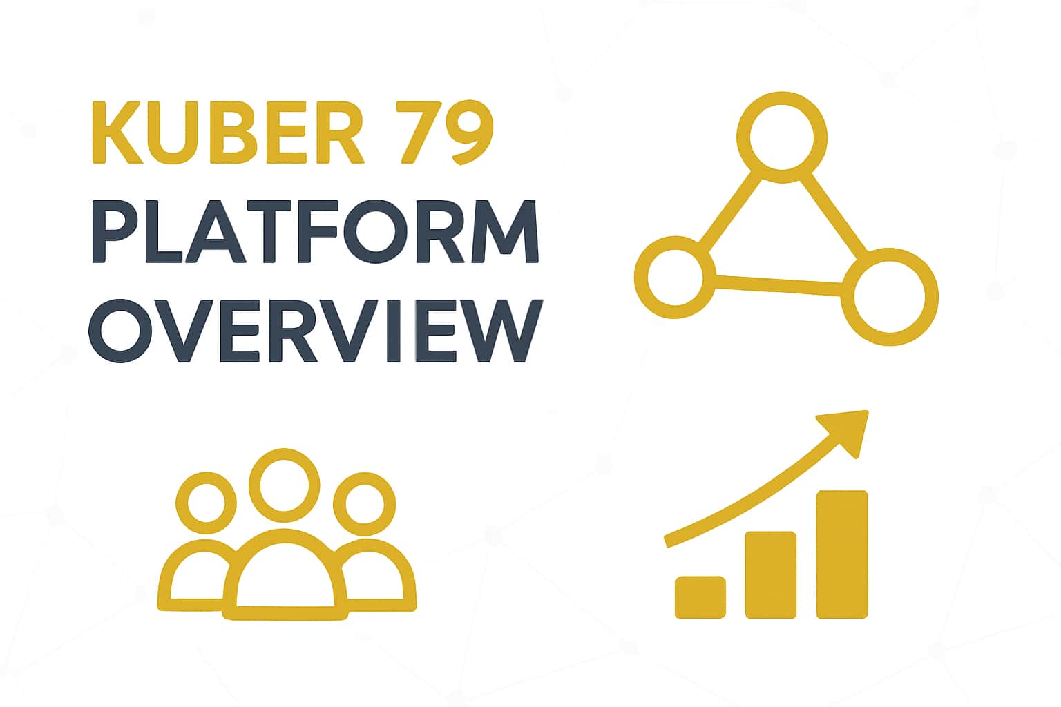 Kuber 79 Platform Overview Interface